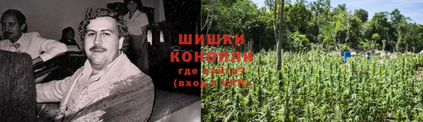 дмт Арсеньев