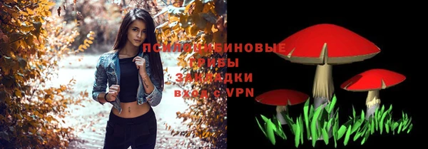 ГАЛЛЮЦИНОГЕННЫЕ ГРИБЫ Няндома
