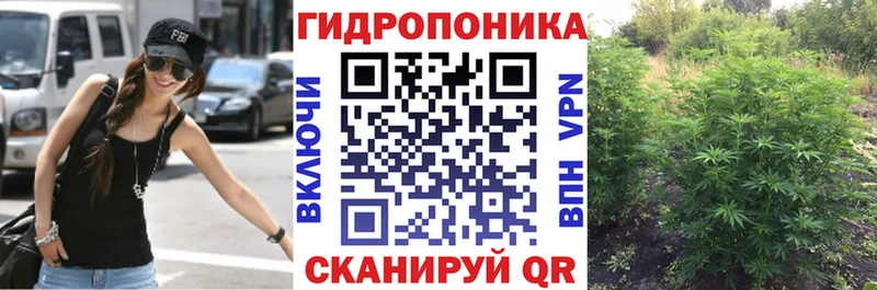 Каннабис сатива  МЕГА ONION  Глазов 